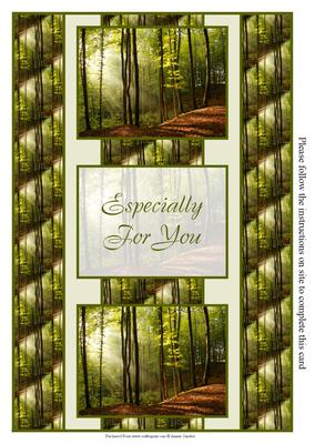 Woodland Walk 3 Panel Fold Back