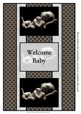 New Baby 3 Panel Fold Back