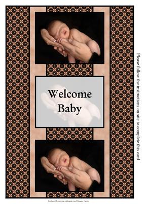 New Baby 3 Panel Fold Back