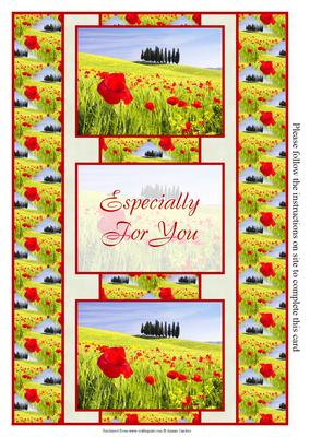 Poppy Field 3 Panel Fold Back