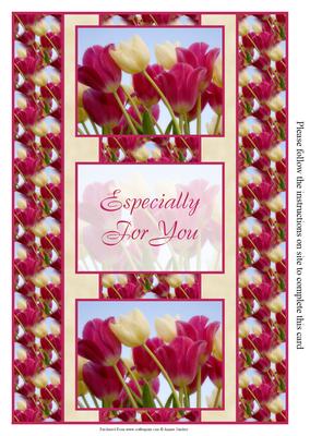 Pretty Tulips 3 Panel Fold Back