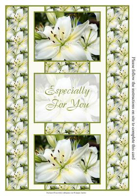 White Oriental Lily 3 Panel Fold Back