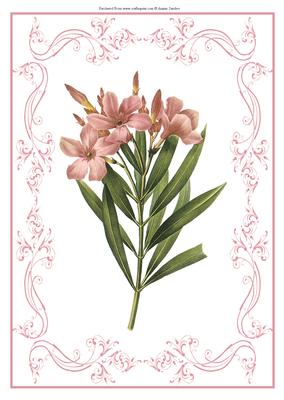 Beautiful Floral A4 Topper/card