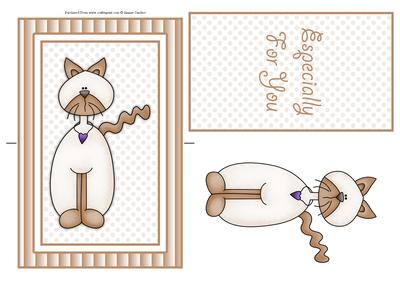 Cute Little Cat Spinner Card