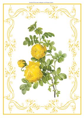 Beautiful Yellow Roses A4 Topper/card