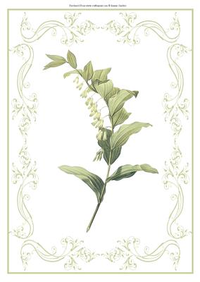 Beautiful Delicate White Floral A4 Topper/card