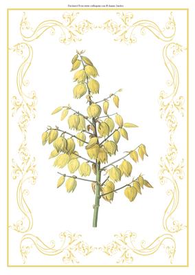 Beautiful Yellow Floral A4 Topper/card