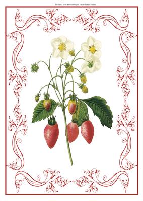Beautiful Strawberry A4 Topper/card