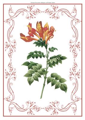 Beautiful Floral A4 Topper/card