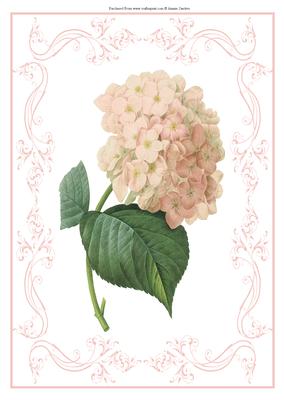 Beautiful Pink Floral A4 Topper/card