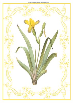 Beautiful Iris A4 Topper/card