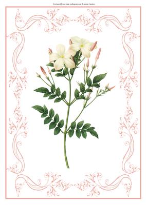 Beautiful Delicate Floral A4 Topper/card