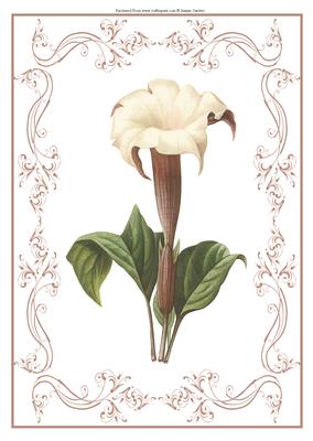 Beautiful Delicate Floral A4 Topper/card