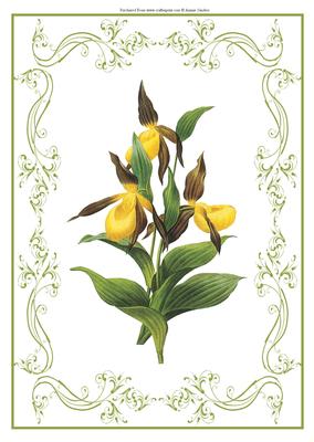 Beautiful Delicate Yellow Floral A4 Topper/card