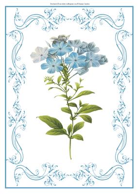 Beautiful Delicate Blue Floral A4 Topper/card