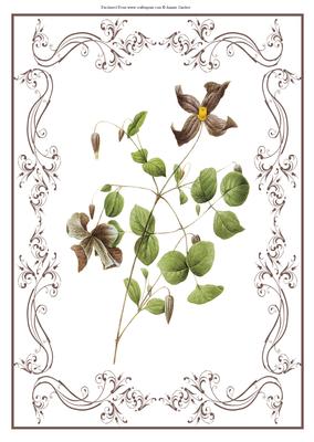 Beautiful Delicate Floral A4 Topper/card