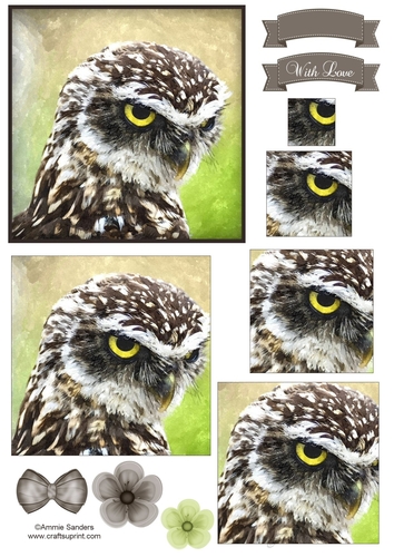 Watercolour Owl , Pyramid Layers & Embellishments