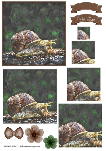 Watercolour Snail , Pyramid Layers & Embellishments
