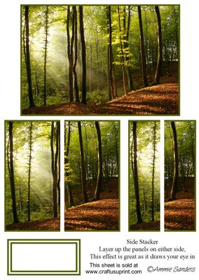 Sunshine in the Woods Side Stacker