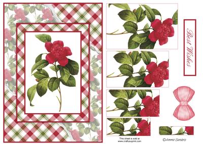 Beautiful Floral Torn Edge Effect Card Front