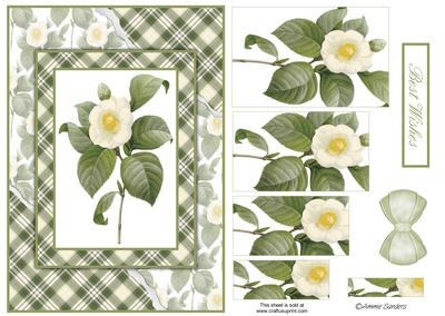 Beautiful Floral Torn Edge Effect Card Front