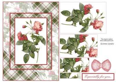 Beautiful Floral Torn Edge Effect Card Front