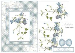 Beautiful Floral Torn Edge Effect Card Front