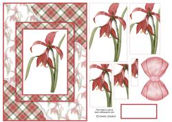 Beautiful Floral Torn Edge Effect Card Front
