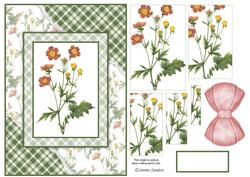 Beautiful Floral Torn Edge Effect Card Front
