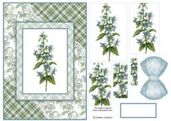 Beautiful Floral Torn Edge Effect Card Front