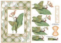 Beautiful Floral Torn Edge Effect Card Front