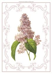 Beautiful Delicate Floral A4 Topper/card