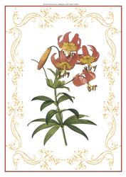 Beautiful Delicate Floral A4 Topper/card