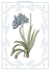 Beautiful Delicate Floral A4 Topper/card