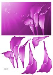 Stunning Sparkling Calla Lilies Card Front & Decoupage