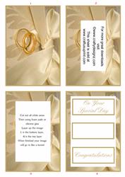 Cream Bow and Wedding Rings Wedding Tunnel Sheet