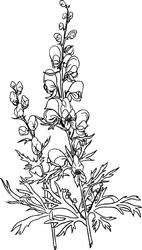 Monkshood Digi Stamp