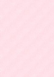 Pink Angel Teddy Textured Backing Paper 11 Mix N Match