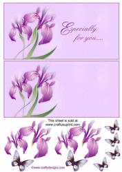Purple and Lilac Floral Dl Card Fronts