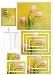 Gorgeous Pink Tulips Concentric Pyramid