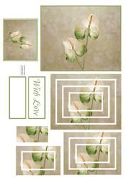 Delicate Floral Concentric Pyramid