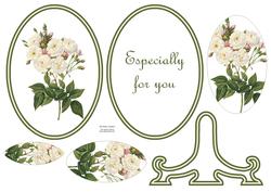 Gorgeous Wild Rose Plate Card Kit