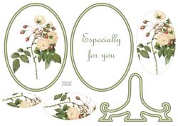 Gorgeous Wild Rose Plate Card Kit