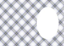 Blue Plaid Insert , Matches Cup159067_5