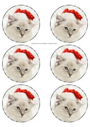 Xmas Cat Christmas Bauble Ornament