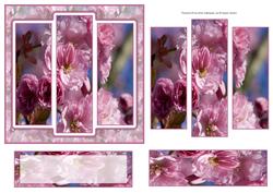 6x6" Japanese Flowering Cherry Panel Card