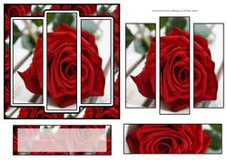 6x6" Gorgeous Red Rose Panel Card