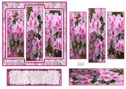 6x6" Stunning Rhododendron Pentanthera Blooms Panel Card