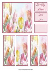 Magical Misted Tulips Side Stacker & Matching Captions