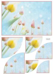 Fantasy Tulips 2 Corner Stacker